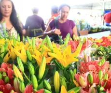 Preço de flores varia até 220% nas floriculturas de João Pessoa