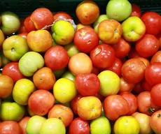 Quilo do tomate varia até 117,90% em supermercados online de João Pessoa