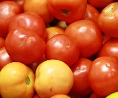 Preço do quilo do tomate em João Pessoa varia 278% e diferença pode ultrapassar R$ 5