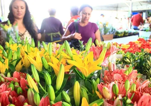 
				
					Preço de flores varia até 220% nas floriculturas de João Pessoa
				
				