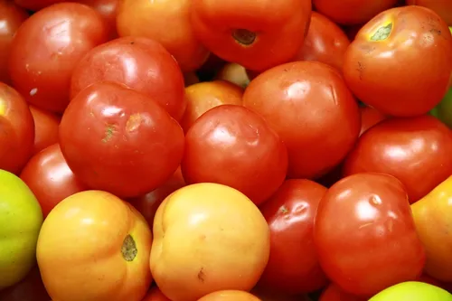 
				
					Cesta básica: Preço do tomate sobe 21,8% entre outubro e novembro em João Pessoa
				
				