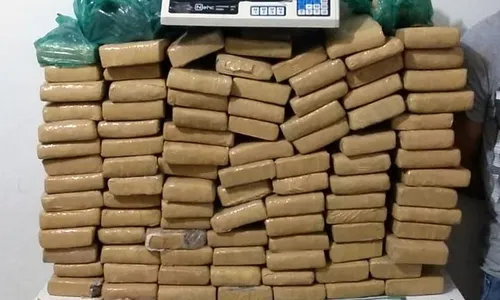 
                                        
                                            Polícia apreende 100 kg de maconha em apartamentos de João Pessoa
                                        
                                        