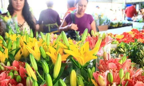 
				
					Preço de flores varia até 220% nas floriculturas de João Pessoa
				
				