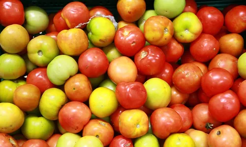 
                                        
                                            Quilo do tomate varia até 117,90% em supermercados online de João Pessoa
                                        
                                        