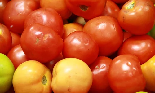 
                                        
                                            Cesta básica: Preço do tomate sobe 21,8% entre outubro e novembro em João Pessoa
                                        
                                        