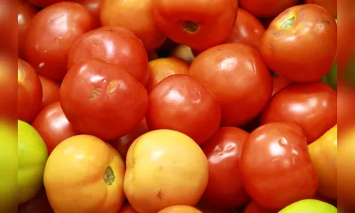 
				
					Preço do quilo do tomate em João Pessoa varia 278% e diferença pode ultrapassar R$ 5
				
				