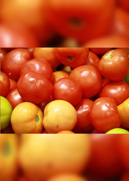 
                                        
                                            Preço do quilo do tomate em João Pessoa varia 278% e diferença pode ultrapassar R$ 5
                                        
                                        