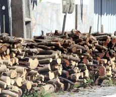 Fogueiras e fogos de artifício estão proibidos em 43 cidades da Paraíba; veja lista