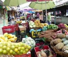 Saiba onde comprar alimentos orgânicos em vários pontos da Paraíba