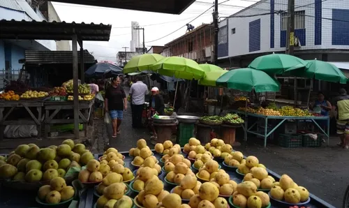 
				
					Feira Central de CG recebe título de patrimônio cultural do Brasil
				
				