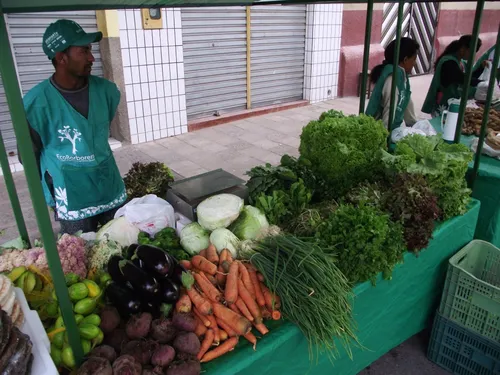 
				
					Feira Agroecológica acontece na Praça da Bandeira nesta quarta-feira
				
				