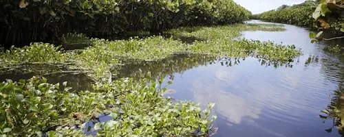 
				
					Qualidade dos rios da Paraíba varia de ruim a regular, diz pesquisa
				
				