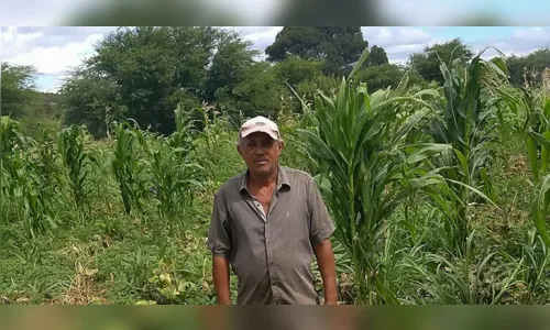 
				
					Agricultores que plantaram no dia de São José iniciam colheita no Sertão da Paraíba
				
				