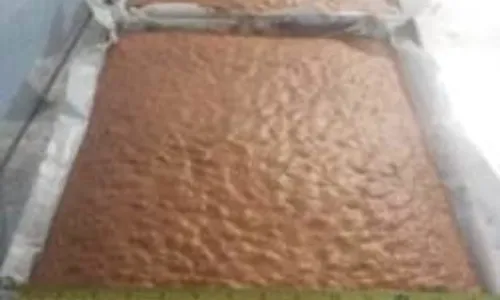 
				
					Maior Quadrilhão do Mundo terá bolo de 35 metros no Parque do Povo
				
				
