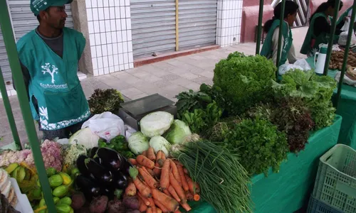 
                                        
                                            Feira Agroecológica acontece na Praça da Bandeira nesta quarta-feira
                                        
                                        