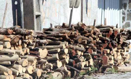 
                                        
                                            Prefeitura de Cabedelo proíbe fogueiras e queima de fogos no período junino
                                        
                                        