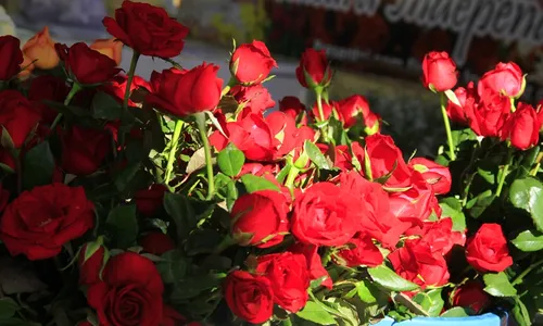 
                                        
                                            Primavera começa nesta quinta-feira (22); veja a previsão da estação na Paraíba
                                        
                                        