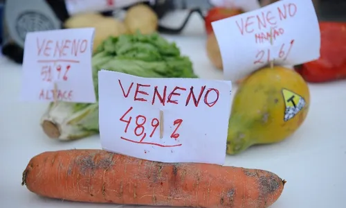 
                                        
                                            Câmara dos Deputados aprova projeto que facilita autorização de agrotóxicos; veja como os paraibanos votaram
                                        
                                        