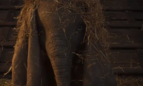 
                                        
                                            Divulgado primeiro trailer oficial do novo 'Dumbo', da Disney
                                        
                                        