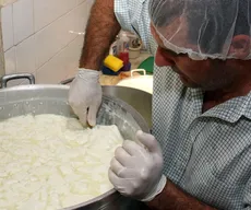 Feira celebra retomada da produção leiteira após perda de 40% com seca