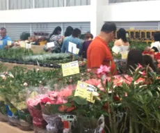 Mais de 100 tipos de flores e plantas estão à venda na Brasil Mostra Brasil