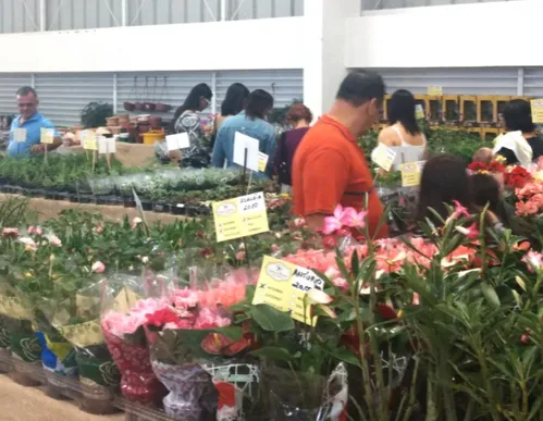 
				
					Mais de 100 tipos de flores e plantas estão à venda na Brasil Mostra Brasil
				
				