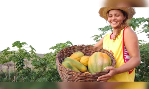 
				
					Convênio entre prefeitura de Campina Grande e Incra prevê recursos para agricultores
				
				