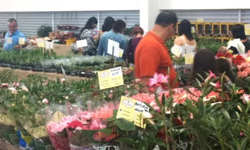 
                                        
                                            Mais de 100 tipos de flores e plantas estão à venda na Brasil Mostra Brasil
                                        
                                        