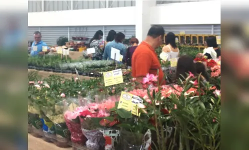 
				
					Mais de 100 tipos de flores e plantas estão à venda na Brasil Mostra Brasil
				
				