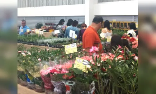 
				
					Mais de 200 espécies de plantas e flores serão expostas na Feira de Holambra
				
				