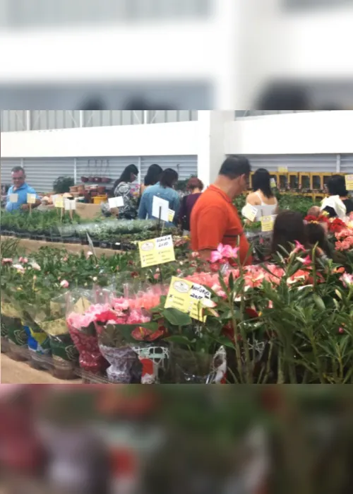 
                                        
                                            Mais de 100 tipos de flores e plantas estão à venda na Brasil Mostra Brasil
                                        
                                        