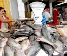 Preço do quilo do peixe pode variar mais de 350% em João Pessoa