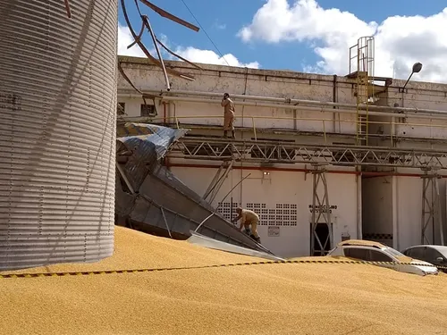 
				
					Funcionário de fábrica morre após ser soterrado por milho de silo que se rompeu em CG
				
				