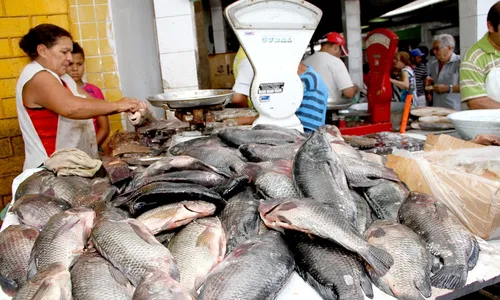 
                                        
                                            Preço do quilo do peixe pode variar mais de 350% em João Pessoa
                                        
                                        