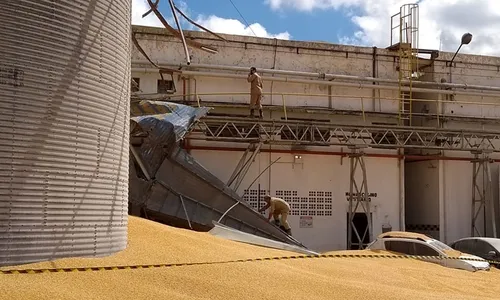 
                                        
                                            Funcionário de fábrica morre após ser soterrado por milho de silo que se rompeu em CG
                                        
                                        