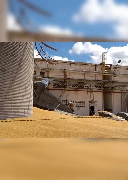 
                                        
                                            Funcionário de fábrica morre após ser soterrado por milho de silo que se rompeu em CG
                                        
                                        