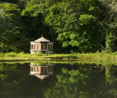 Jardim Botânico tem colônia de férias gratuita para crianças