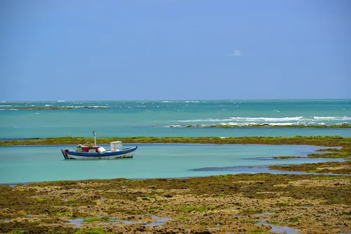 
				
					Verão: conheça todas as praias da Paraíba
				
				