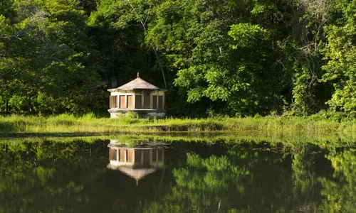 
                                        
                                            Jardim Botânico: pedaço da Mata Atlântica para visitação
                                        
                                        