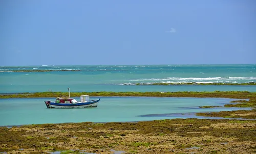 
                                        
                                            Para depois do voto: veja as praias que estão liberadas para o banho no fim de semana
                                        
                                        