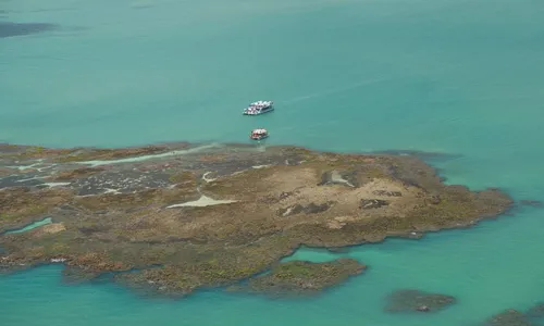 
                                        
                                            Praias do Litoral da Paraíba não apresentam contaminação por petróleo, diz laudo
                                        
                                        