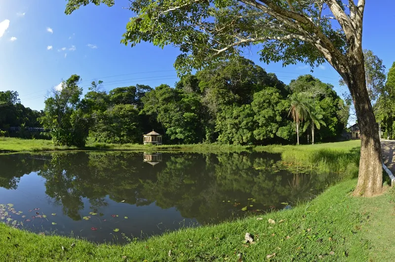 Jardim Botânico: pedaço da Mata Atlântica para visitação