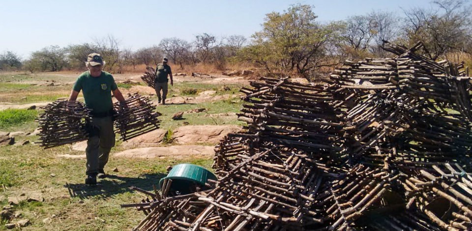 16,1 mil armadilhas para capturar arribaçãs são apreendidas pelo Ibama no Sertão em dez dias