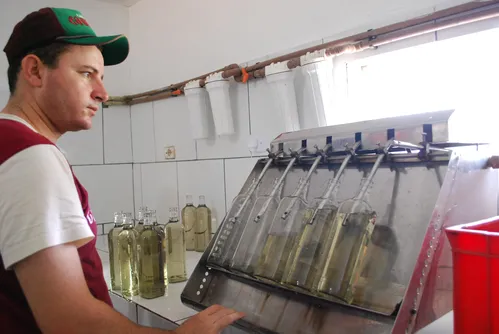 
				
					Paraíba é o maior produtor de cachaça de alambique do Brasil, com 12 milhões de litros anuais
				
				