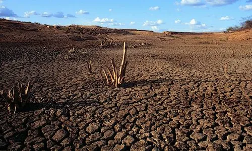 
                                        
                                            Seca: governo federal reconhece situação de emergência em 176 municípios da PB
                                        
                                        