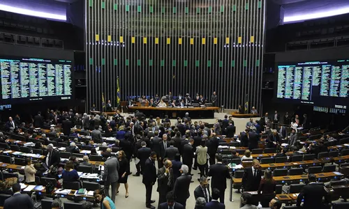 
                                        
                                            Perfil da nova bancada na Câmara Federal: dos 12 eleitos, apenas 4 são estreantes
                                        
                                        