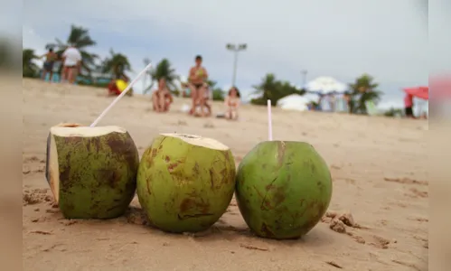 
				
					Restaurantes de Campina Grande vão ter que fornecer canudos reutilizáveis
				
				