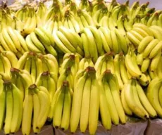 Preço da banana tem variação de até 459,18% e de alho, 247% em Campina Grande