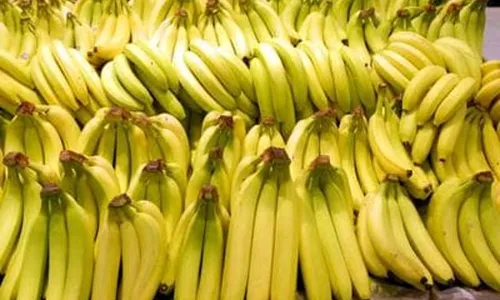 
                                        
                                            Preço da banana tem variação de até 459,18% e de alho, 247% em Campina Grande
                                        
                                        