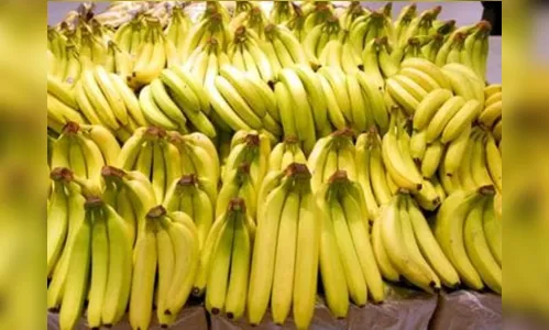 
				
					Preço da banana tem variação de até 459,18% e de alho, 247% em Campina Grande
				
				